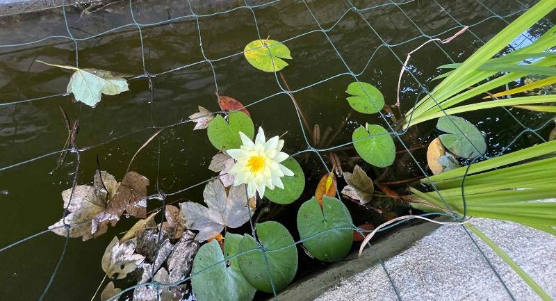 Ambiance animée et conviviale dans un resto à Clermont-Ferrand, avec des convives partageant un bon repas et riant autour d’une table en bois.